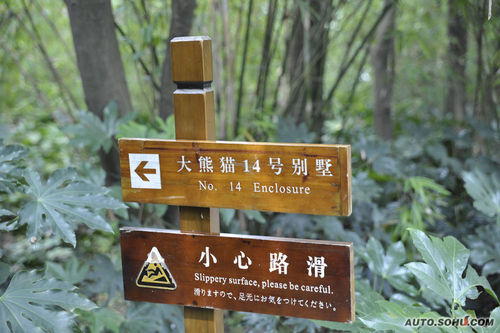 宝马 图片图片