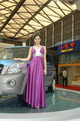 2009上海车展长城车模