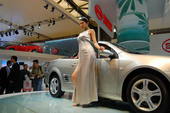 2009上海车展风神车模
