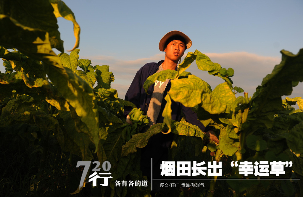 龙泉宝剑_龙泉烟草收入怎么样(2)