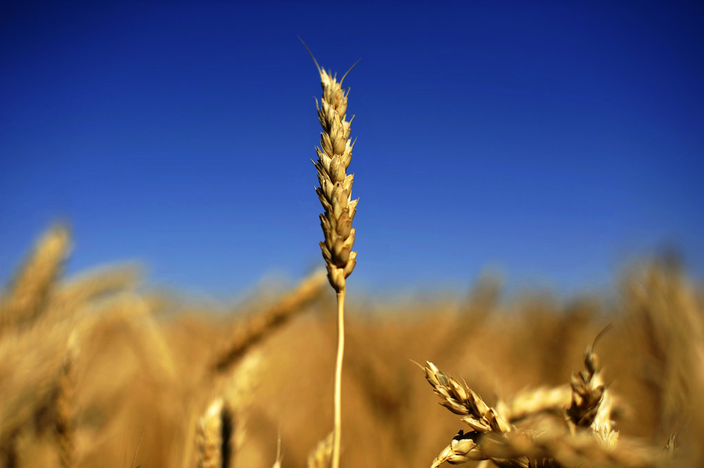 一、本月世界冲突时事报道五条:必须是2014年