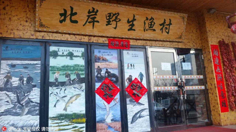 哈尔滨 天价鱼  饭店被 责令 停业  大门紧锁-新闻