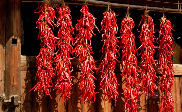  卡罗来纳死神 最辣辣椒现身(图)6005522-吃喝