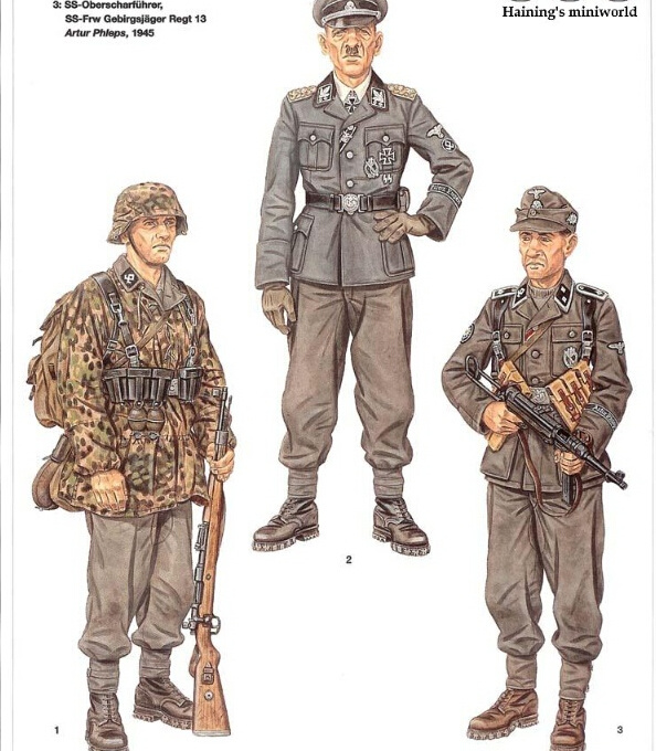 二战德国党卫军军服图册(2)