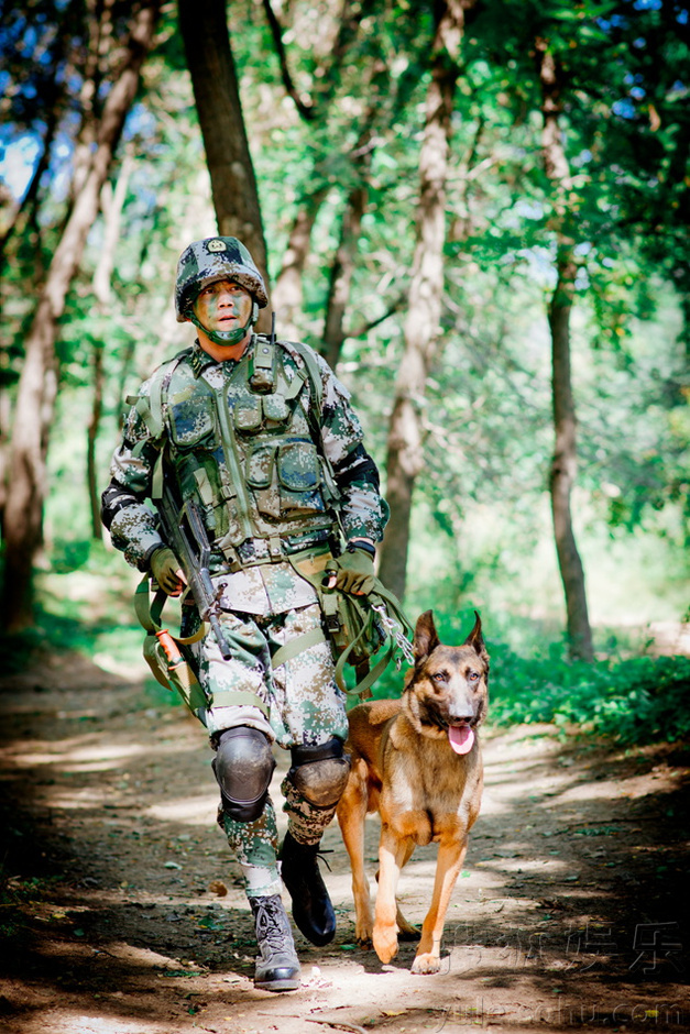 《神犬奇兵》海报曝光 帅气大兵搭档超萌军犬