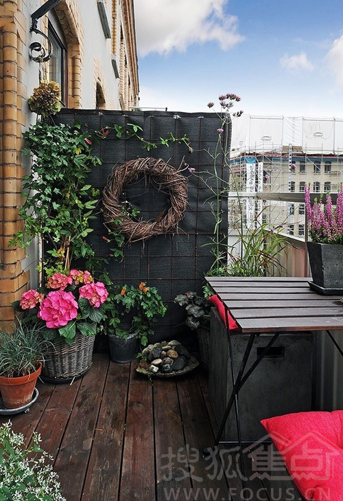 做<em>花房姑娘</em> 让阳台种出花园来6953734-焦点频