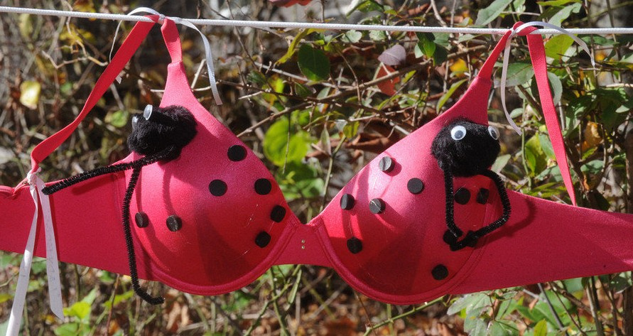 女人<em>胸罩</em>都这样哪个<em>姑娘</em>敢<em>穿</em>5635438-Wap频