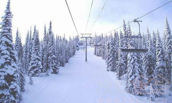 滑雪场排名_崇礼滑雪场(3)