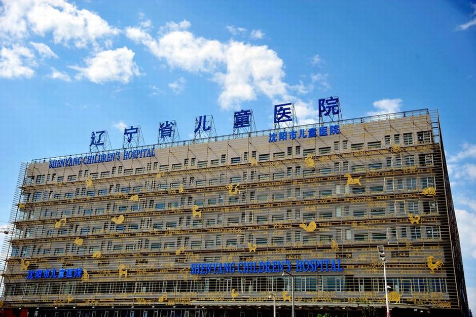 围观国内"十二生肖"儿童医院大楼 2013年07月03日,辽宁省沈阳市,在