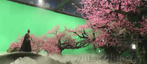 那些美轮美奂的珊瑚,在拍摄时都是一些绿色的道具模型.