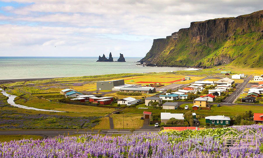 2019年冰岛人均GDP_07年冰岛古树