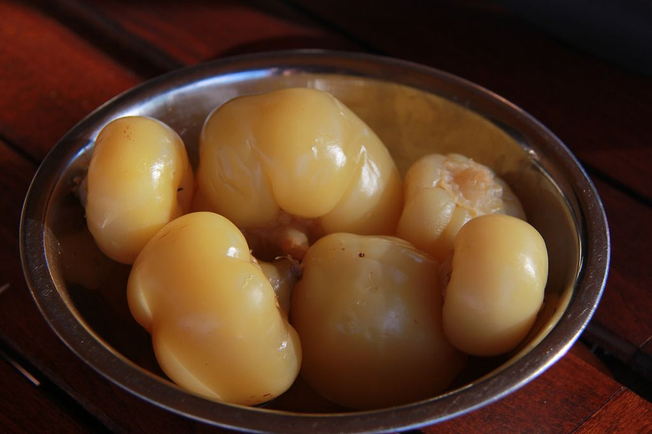 走近匈牙利击剑世家 父子三剑客与中国结缘(图