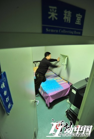 的要求:必须是大学生,身高165厘米以上,精子活力要是正常人的4倍等,这