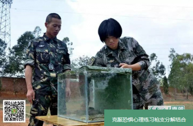 解放军女子特种兵亮相沙场 徒手抓蛇生吃虫-军