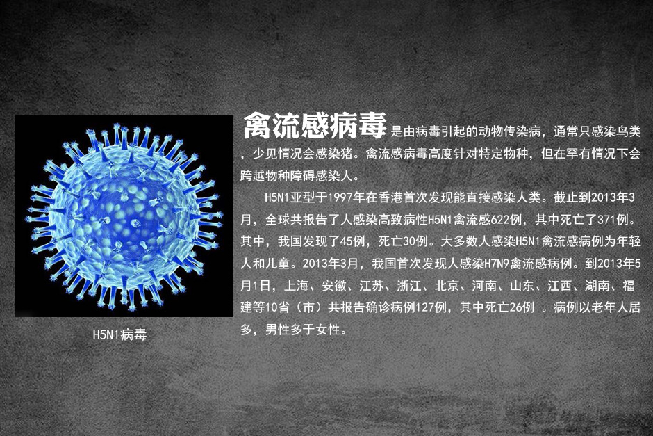 病毒来袭:埃博拉并非最可怕