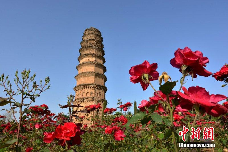 宜阳县三乡镇各村人口排名_宜阳县三乡镇景区图(3)