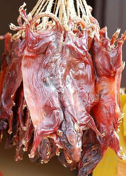 浙江一老人爱吃老鼠肉 邻里间朋友分享烹饪心得
