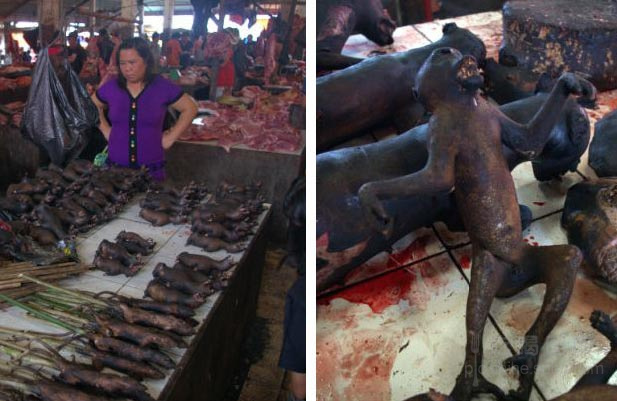 西方记者镜头下的印尼集市 烘烤动物肉触目惊心