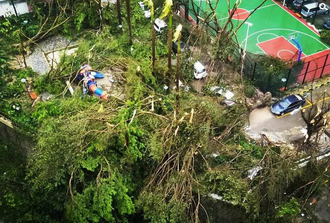 强台风天鸽登陆华南9124482-新闻图片库