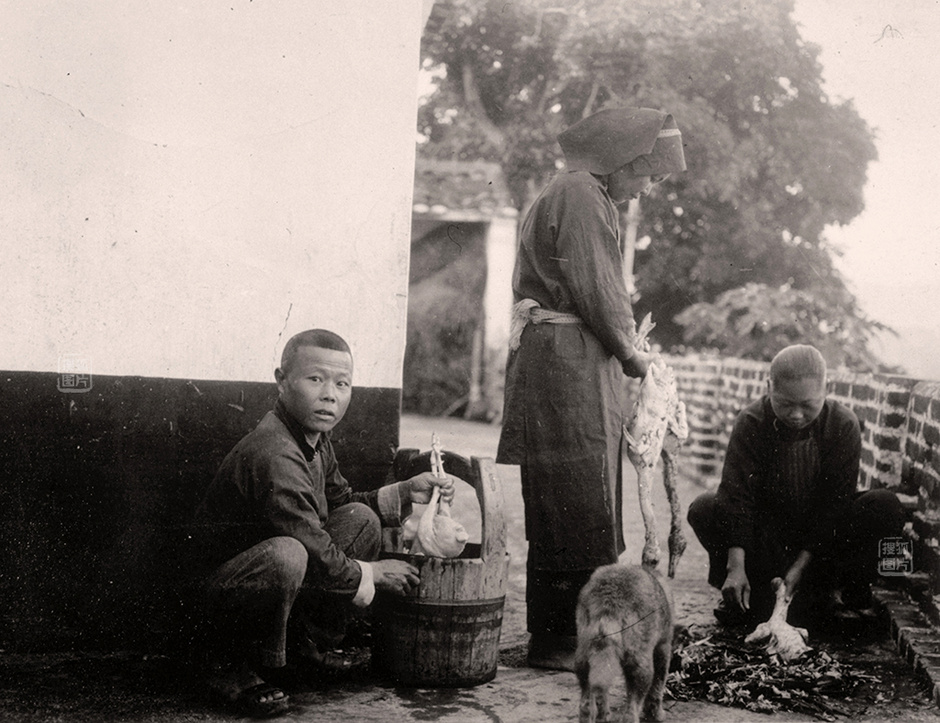 杀鸡宰鹅为宴会做准备(1921-1928年).