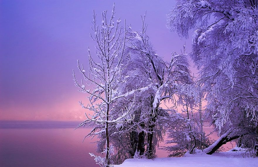 全球冬季绝色美景 冰天雪地宛如仙境