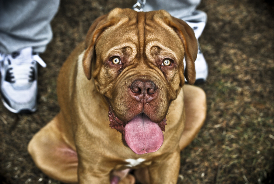 酒店最怪异投诉 服务员太帅上榜6607798
