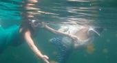       搜狐娱乐讯 4月2日晚，叶一茜在网上发布与田亮在帕劳潜水的照片，夫妻二人在水下拉手与水母...