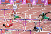 北京时间8月12日凌晨消息，伦敦奥运会已接近尾声。在金牌运动员的背后，有一大批运动员成为了他们的陪衬...