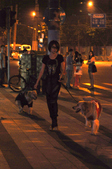 日前，记者偷拍到内地影视歌三栖明星戚薇来到上海，在炎热的仲夏夜牵着几只大型犬在马路上闲逛。当晚记者路...