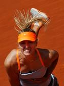 ����ʱ��5��11����Ϣ���ܽ����Ϊ$4,033,254��WTA�ʹ�����Mutua�����﹫����չ���˵�...
