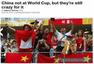 世界杯百大社会新闻：东道主不给力 球迷最伟大