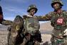 西藏武警特战反恐考核接近实战 顶着炮火冲上山
