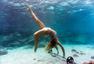 美女拍摄水下健身照 珊瑚丛中练举重