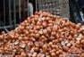 比利时小镇用6500个鸡蛋制作直径4米煎蛋饼