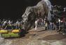 3D《侏罗纪公园》六月来袭 重温科幻经典