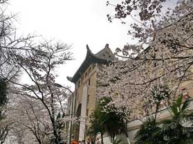 武汉大学