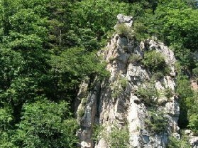 龙湾自然保护区