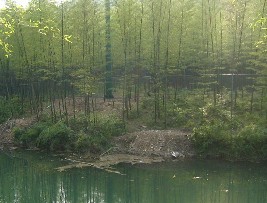 南山竹海度假区